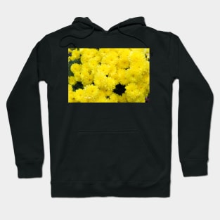 Mums the Word Hoodie